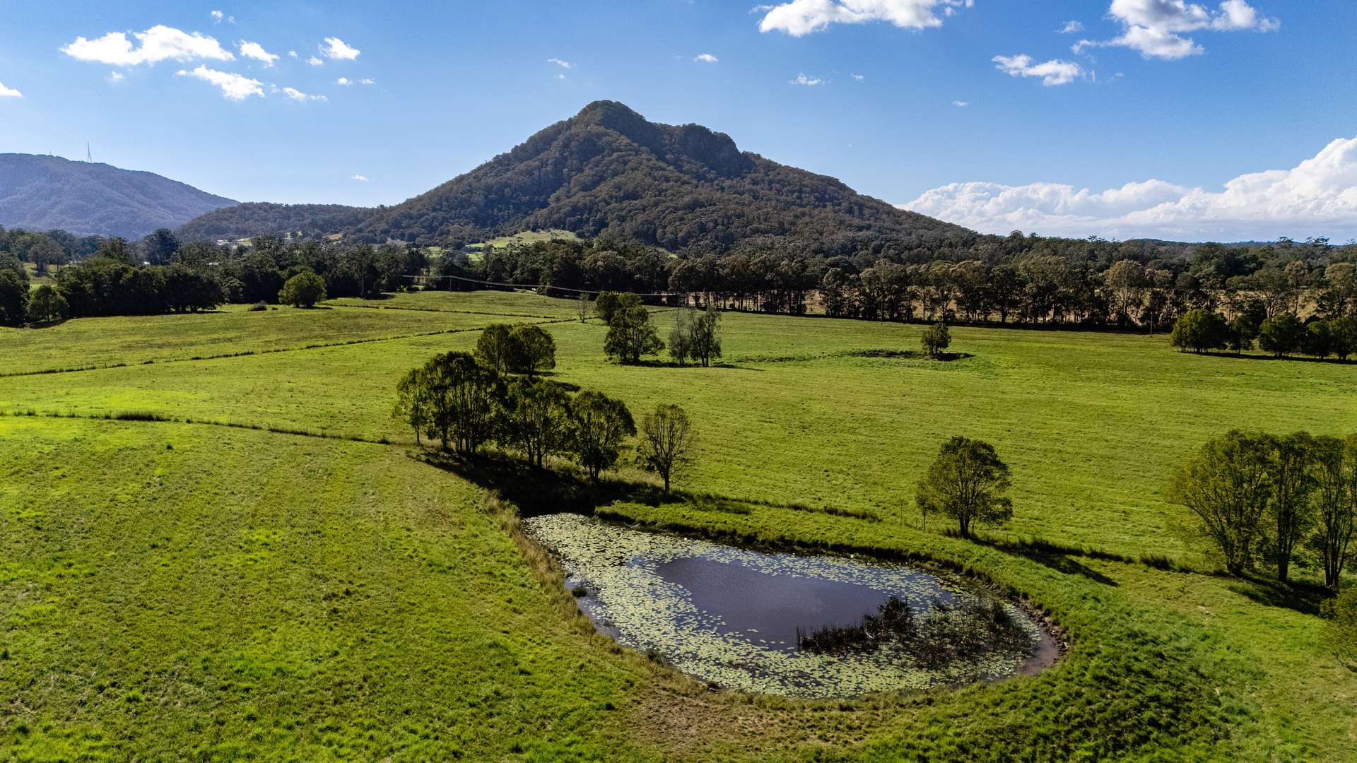 10 Holey Flat Lane, Moorland Auction by Farmbuy.com - image 24