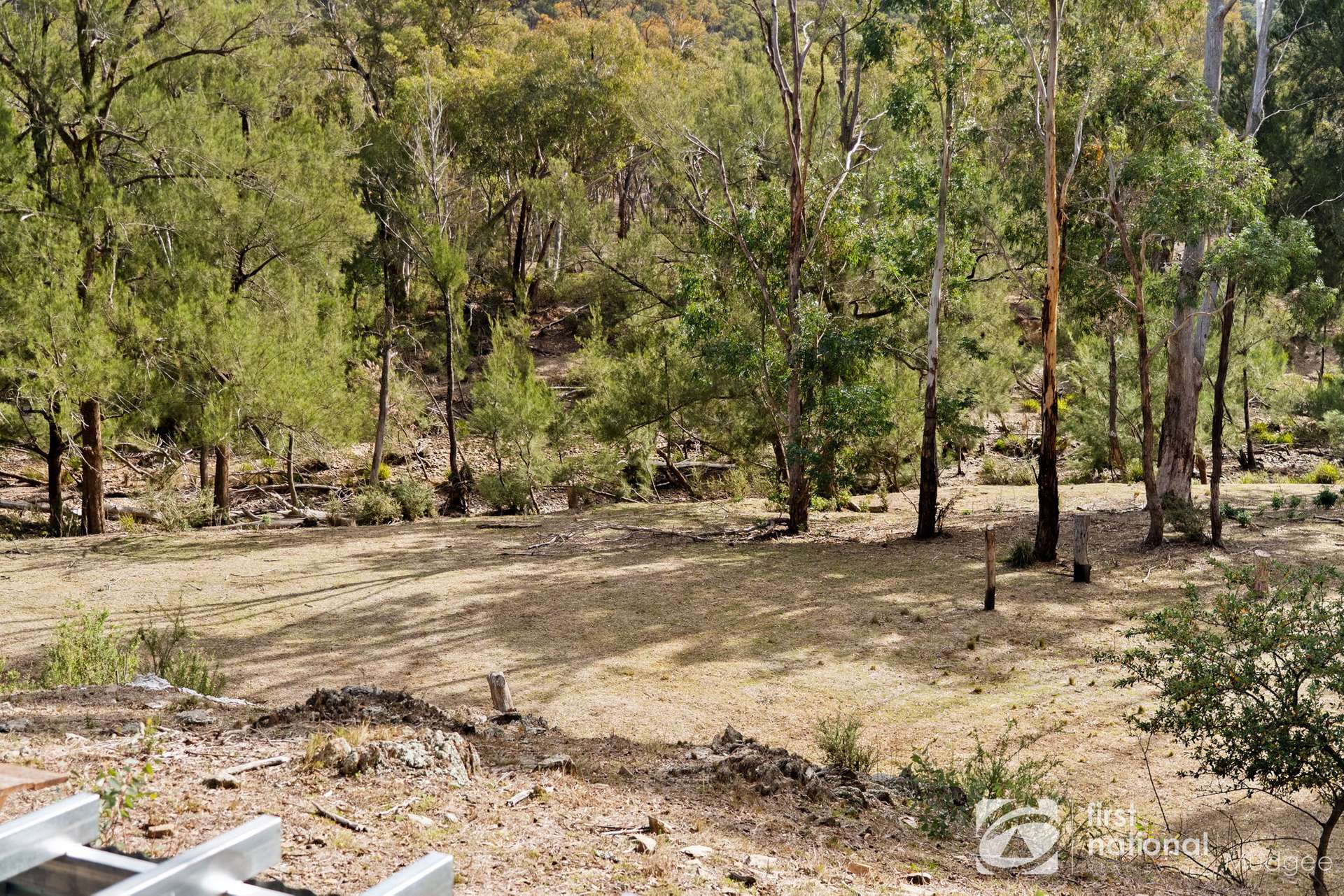559 Maitland Bar Road, Mudgee For Sale by Farmbuy.com - image 9