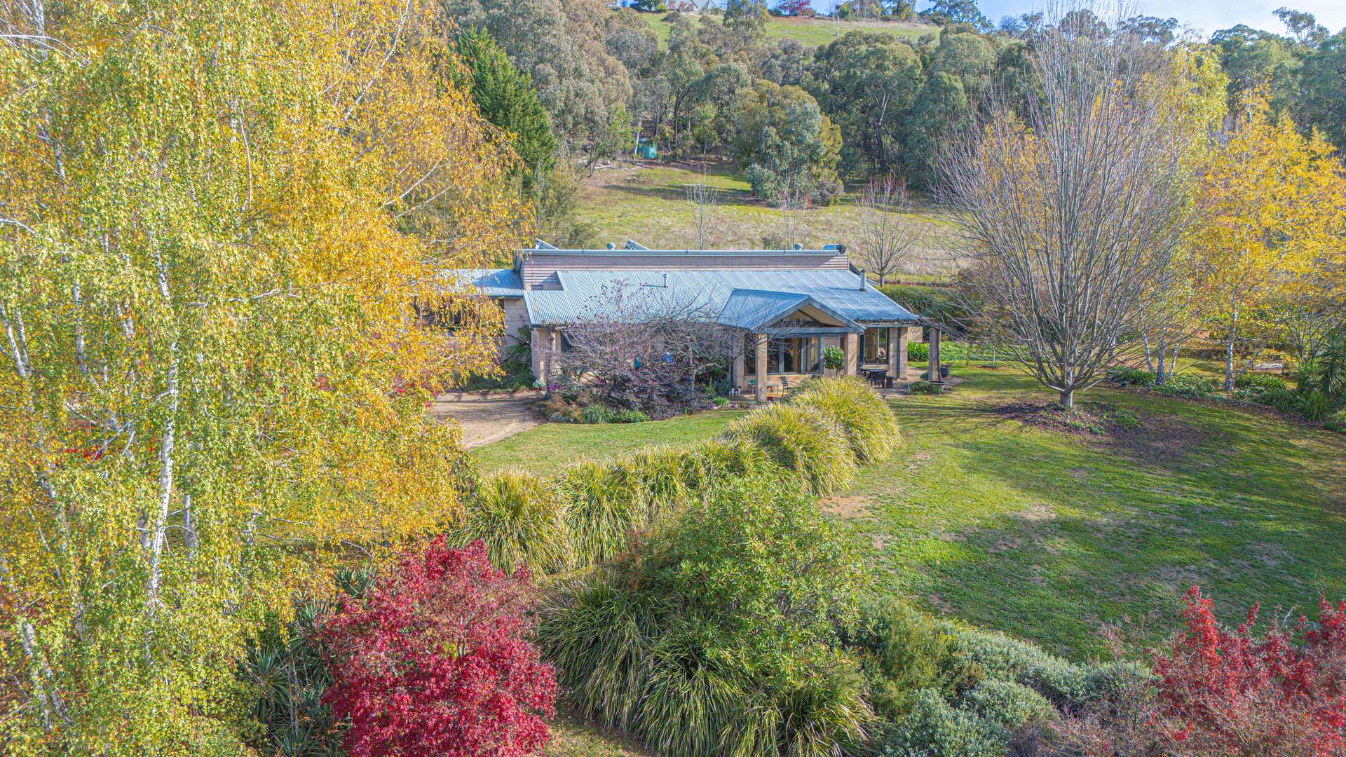 142 Buffalo Creek Road, Myrtleford For Sale by Farmbuy.com - image 4
