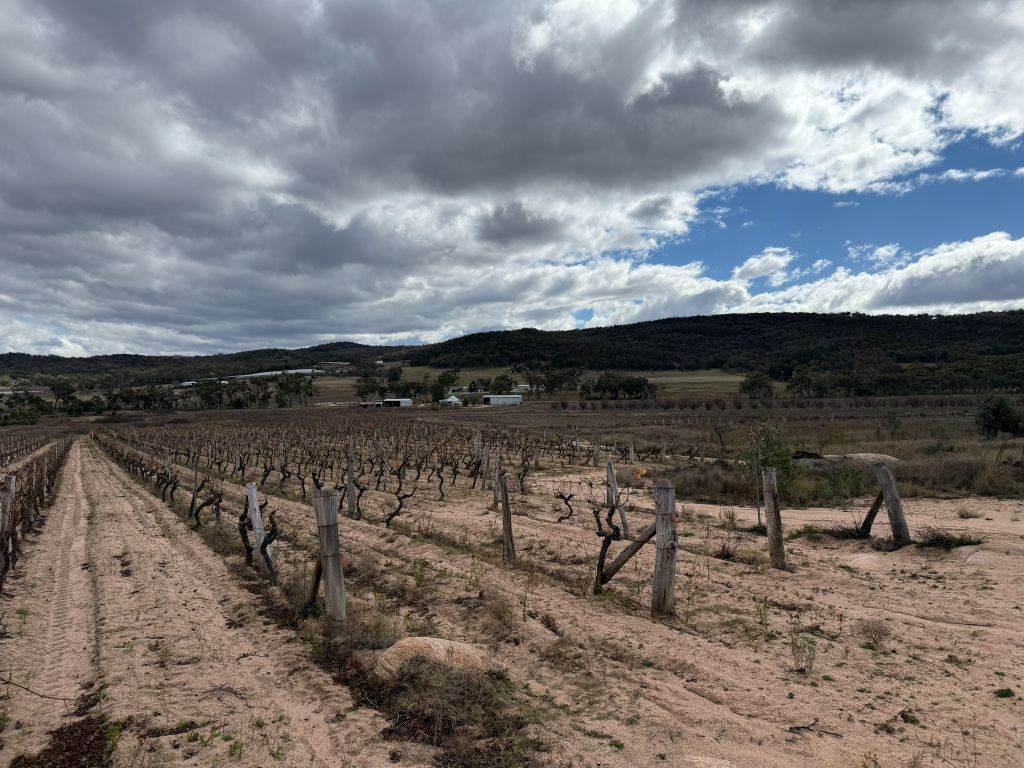 96 Collins Road, Glen Aplin For Sale by Farmbuy.com - image 29