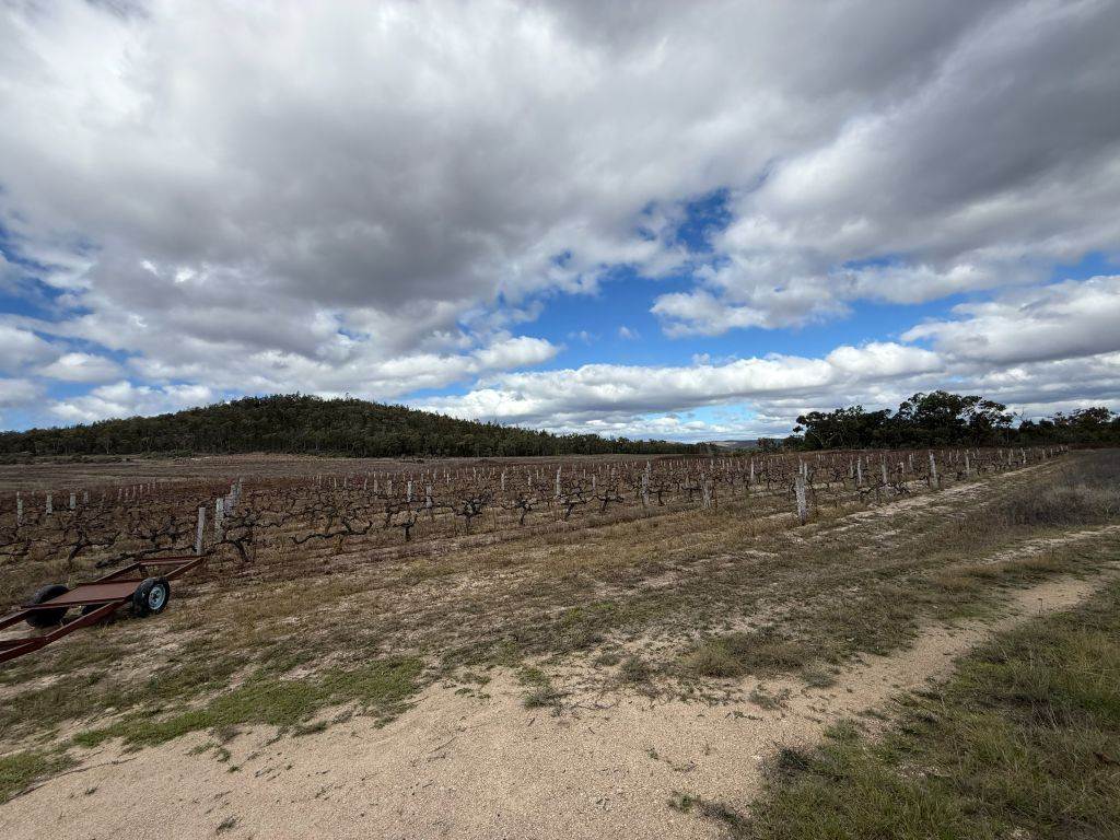 96 Collins Road, Glen Aplin For Sale by Farmbuy.com - image 5