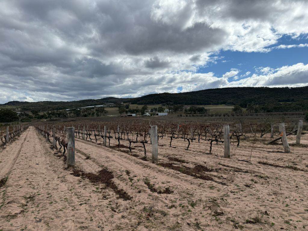 96 Collins Road, Glen Aplin For Sale by Farmbuy.com - image 27