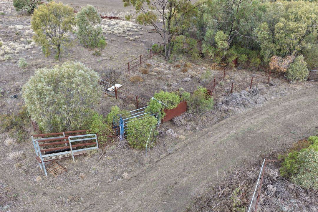 Narella Park & The Block, Walgett Auction by Farmbuy.com - image 29