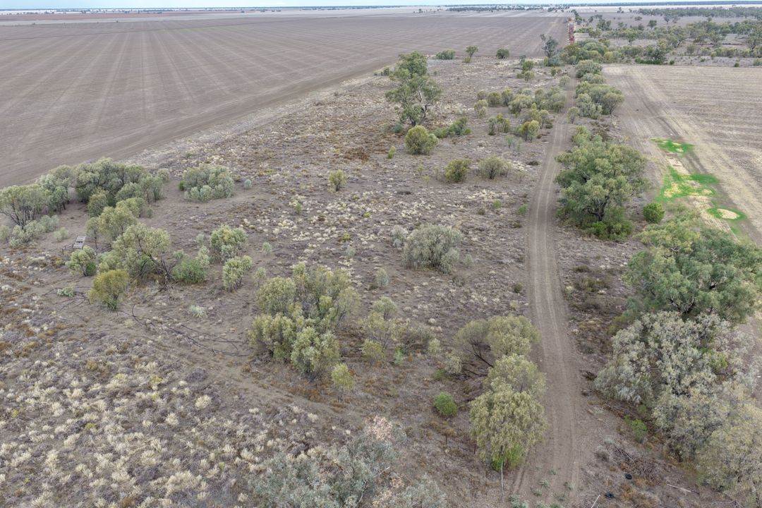 Narella Park & The Block, Walgett Auction by Farmbuy.com - image 4