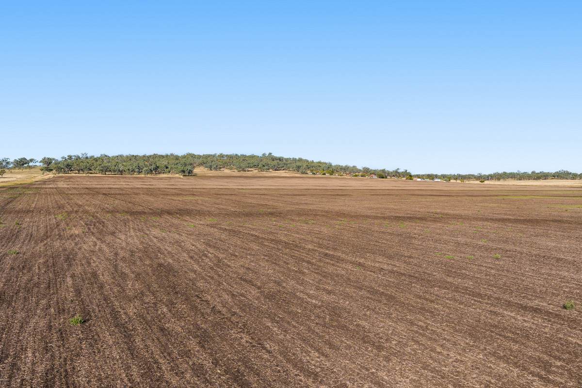 15687 New England Highway, Nevilton For Sale by Farmbuy.com - image 16