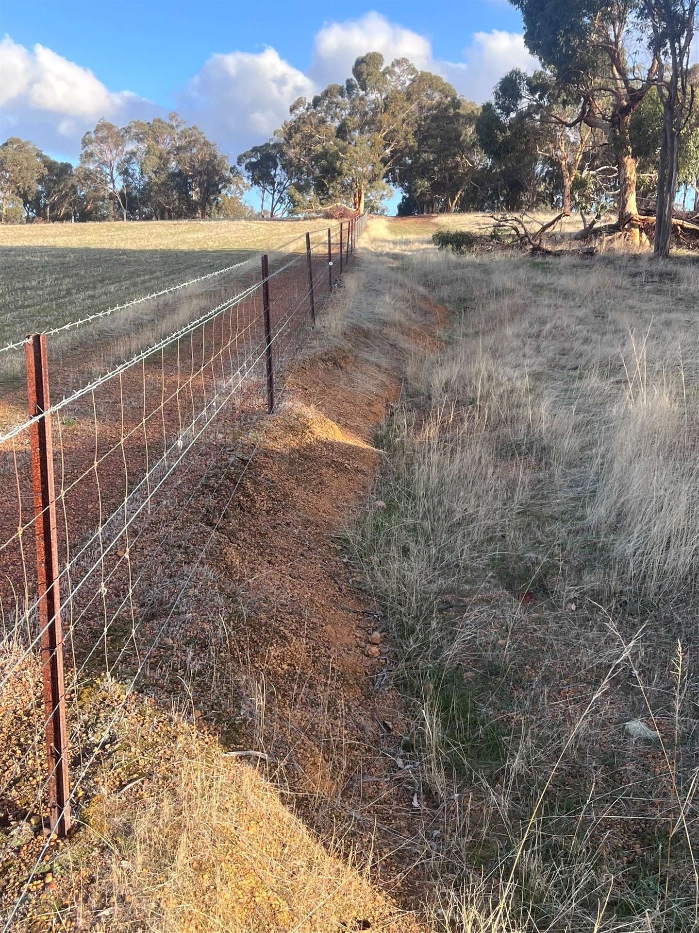 Lot 1 Wariin Road, Copley For Sale by Farmbuy.com - image 7