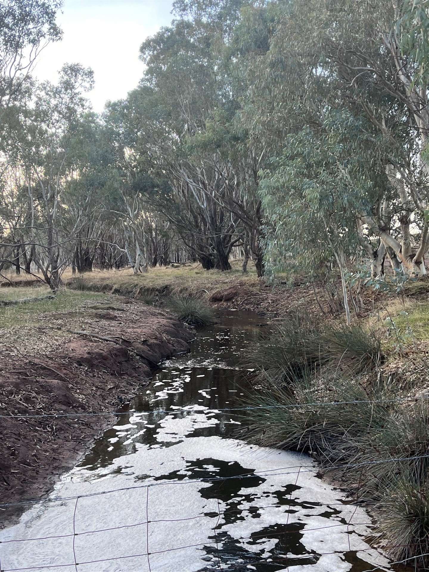 Lot 1 Wariin Road, Copley For Sale by Farmbuy.com - image 11