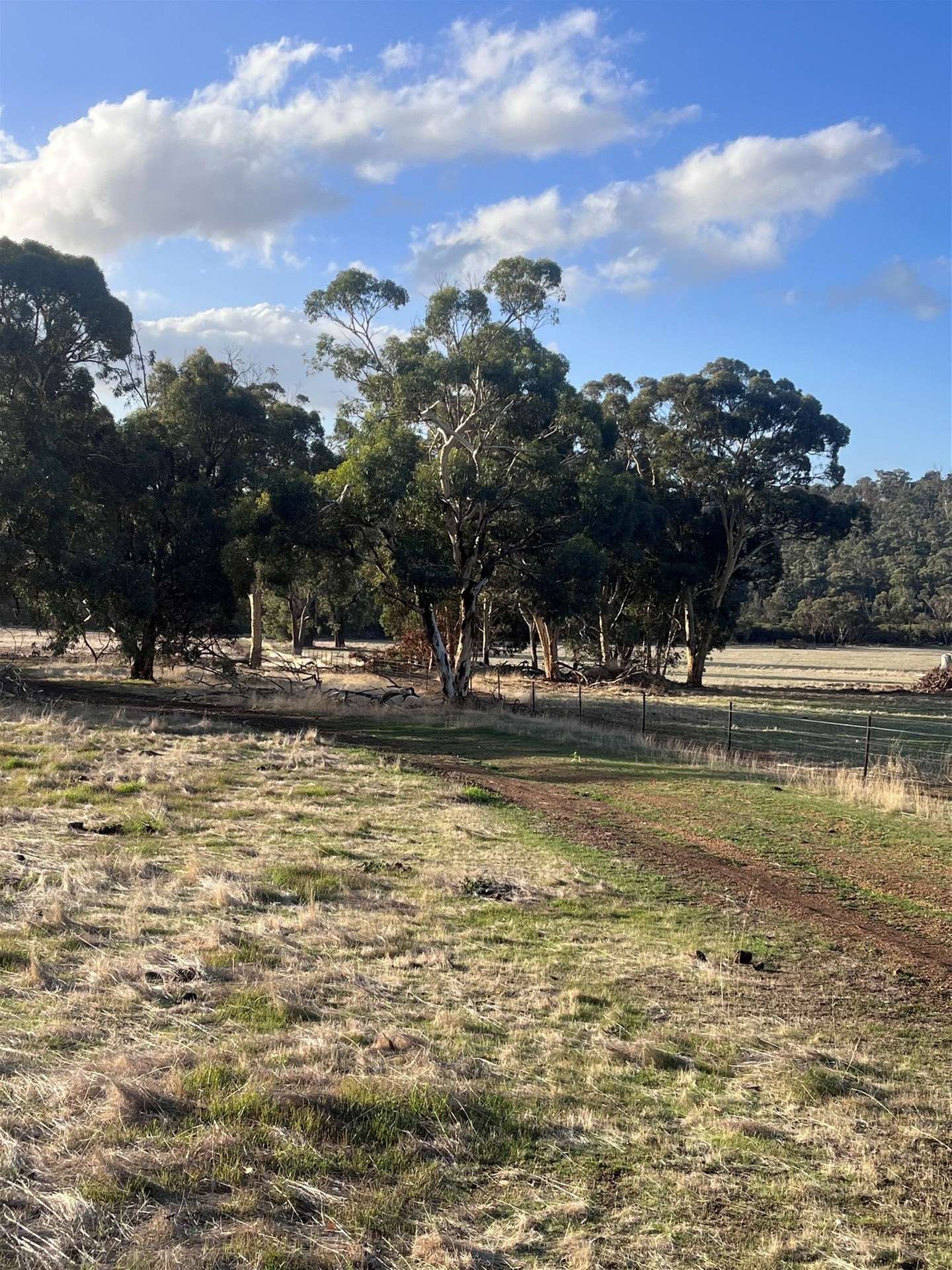 Lot 1 Wariin Road, Copley For Sale by Farmbuy.com - image 4