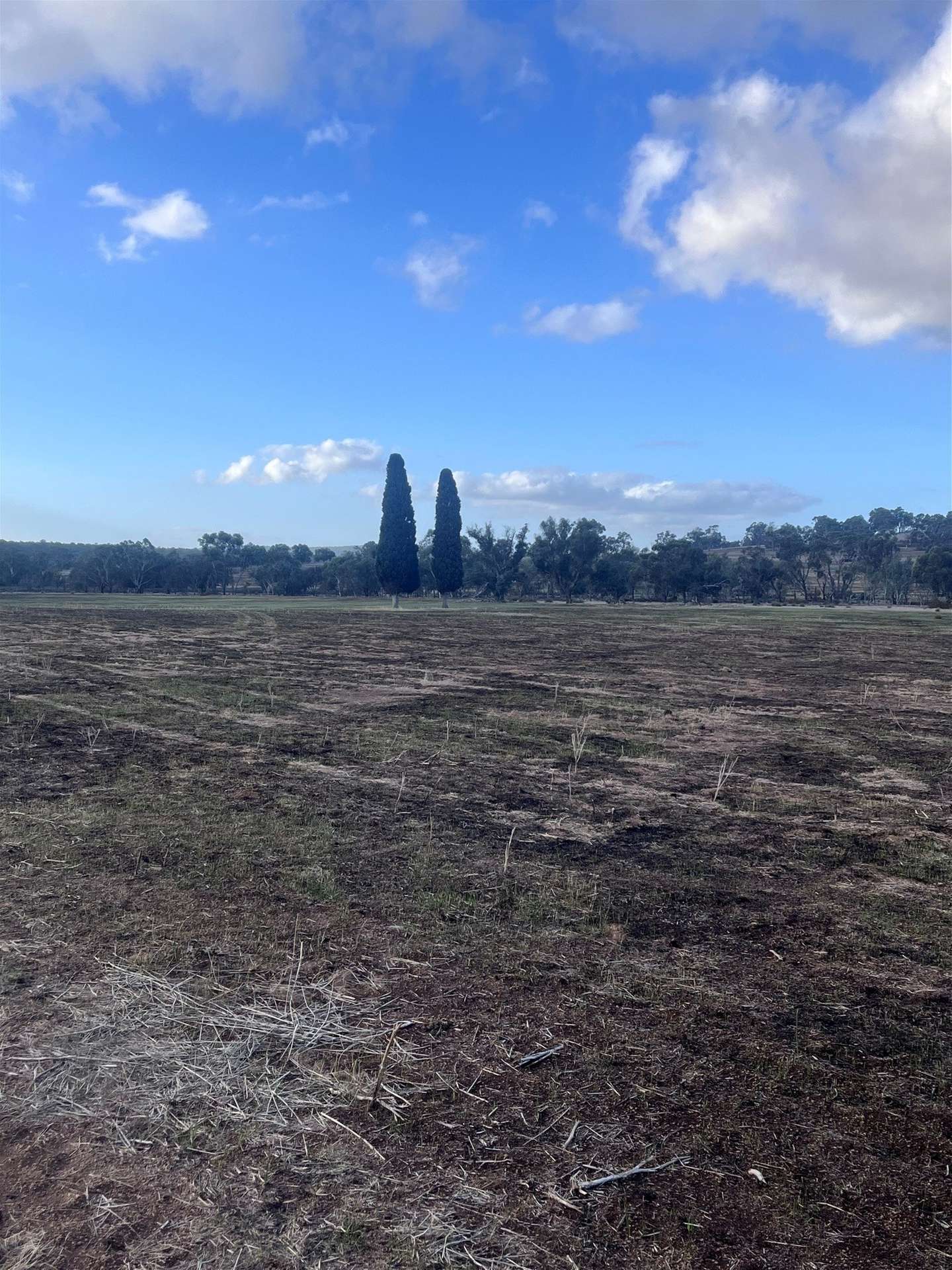 Lot 1 Wariin Road, Copley For Sale by Farmbuy.com - image 19