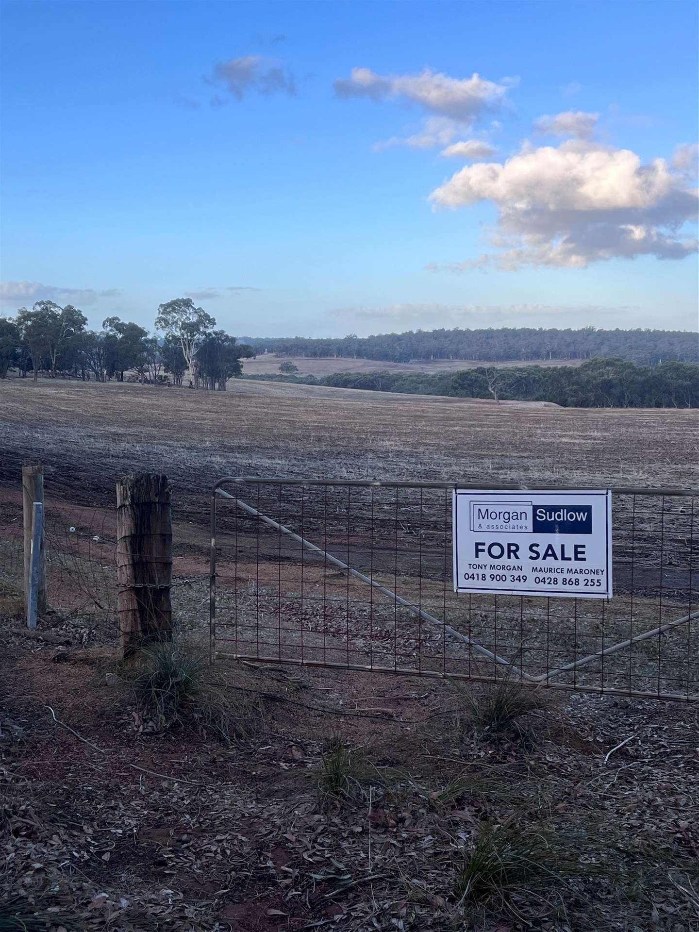 Lot 1 Wariin Road, Copley For Sale by Farmbuy.com - image 8