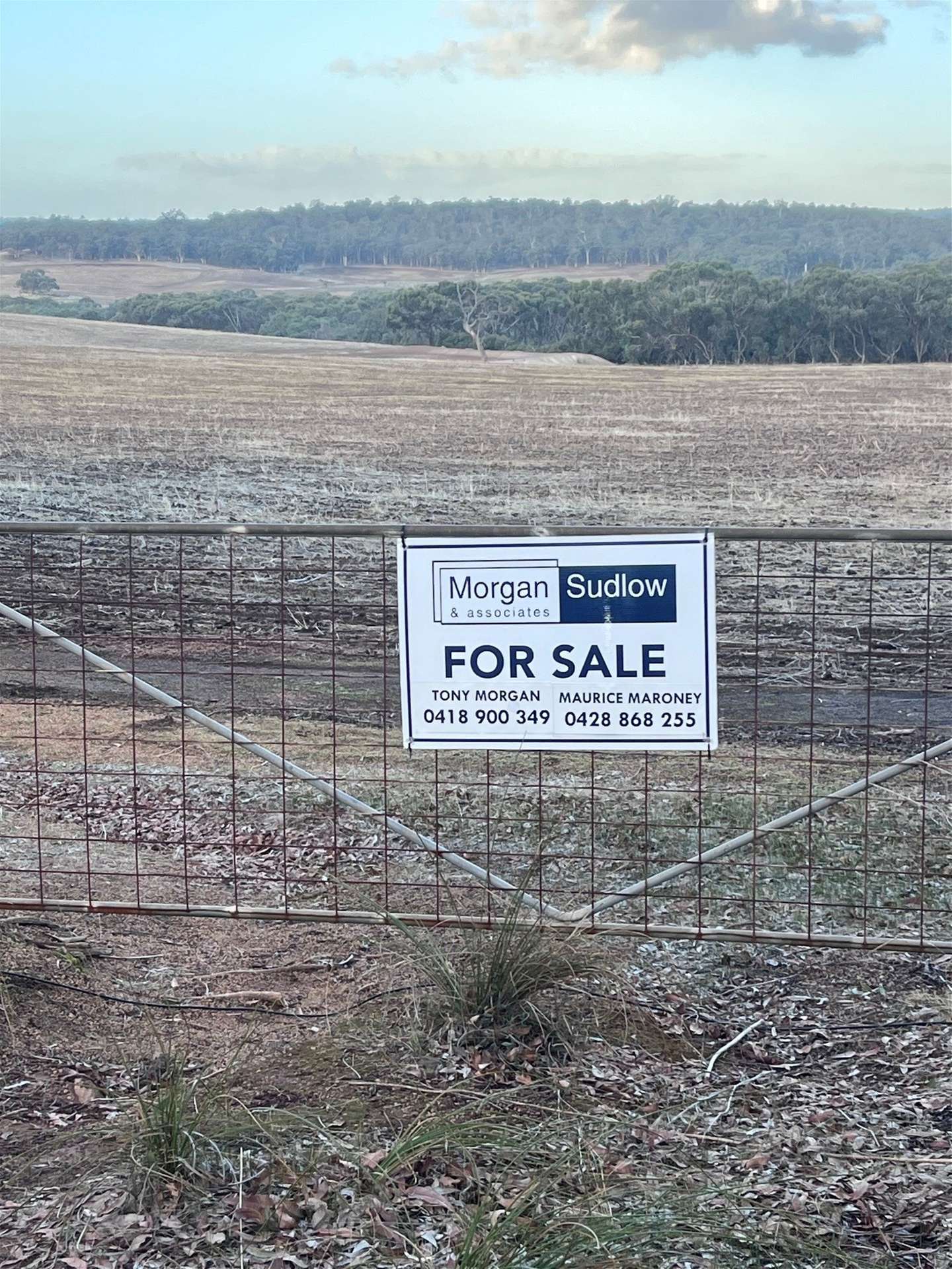 Lot 1 Wariin Road, Copley For Sale by Farmbuy.com - image 9