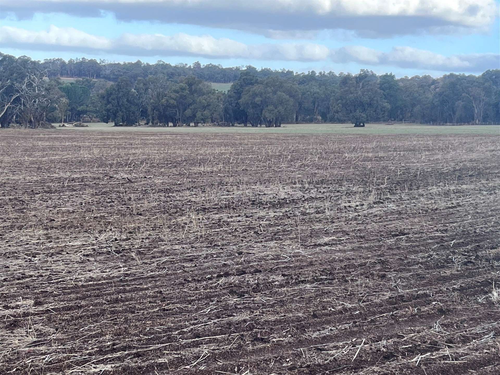 Lot 1 Wariin Road, Copley For Sale by Farmbuy.com - image 5