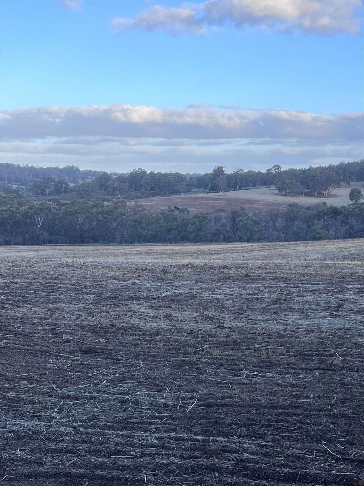 Lot 1 Wariin Road, Copley For Sale by Farmbuy.com - image 13