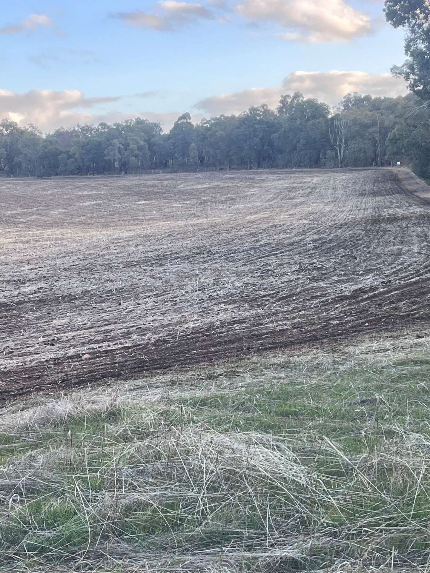 Lot 1 Wariin Road, Copley For Sale by Farmbuy.com - image 15