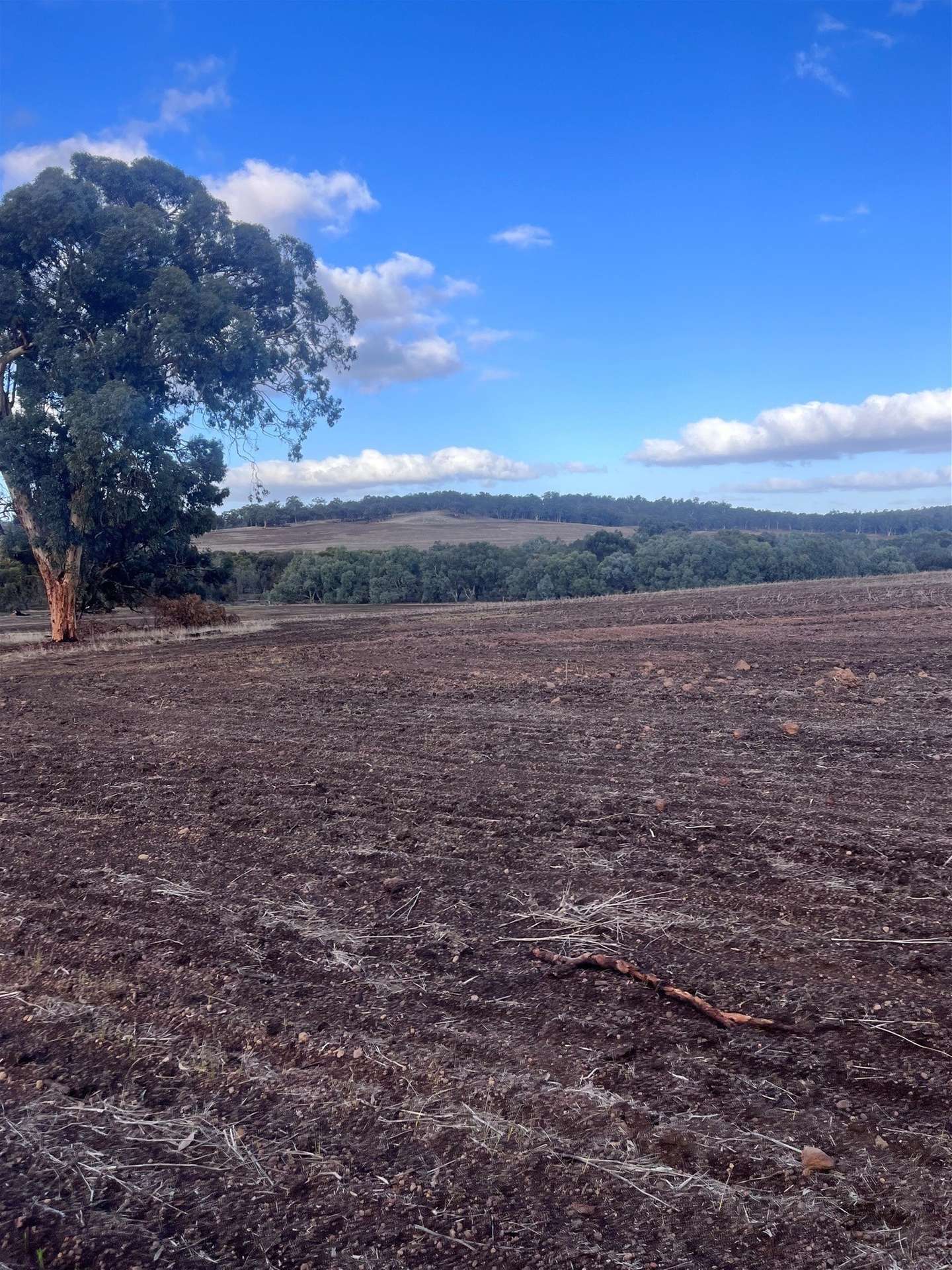 Lot 1 Wariin Road, Copley For Sale by Farmbuy.com - image 2