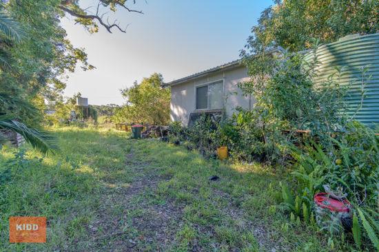 Peats Ridge Sold by Farmbuy.com - image 7