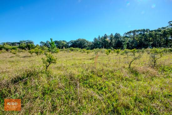 Peats Ridge Sold by Farmbuy.com - image 5