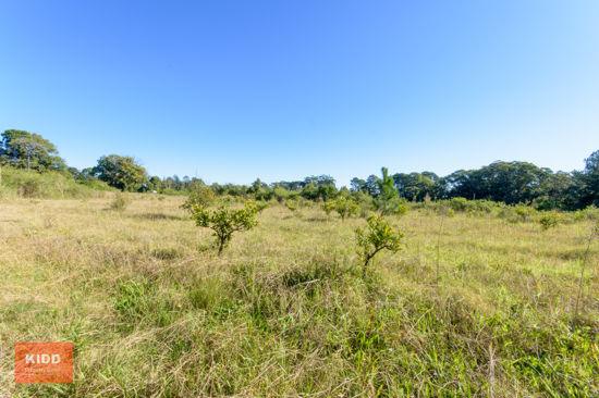 Peats Ridge Sold by Farmbuy.com - image 6