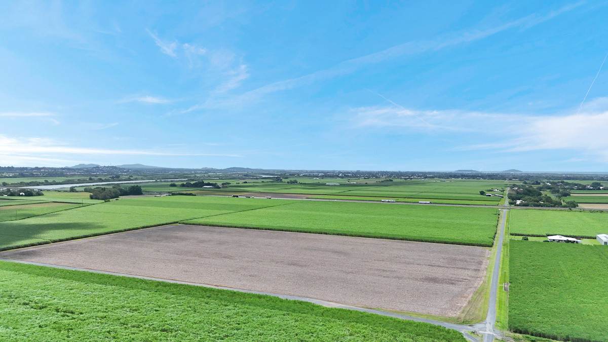 Lot 2 & 3,  Nilssons Road, Racecourse For Sale by Farmbuy.com - image 7