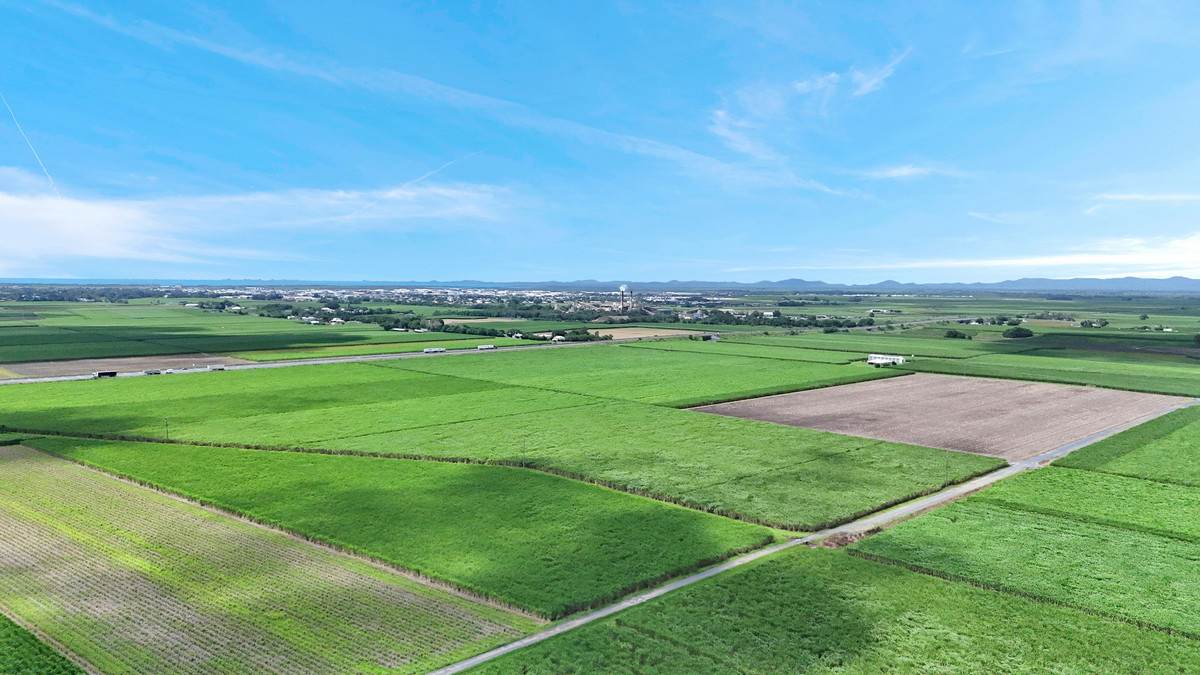 Lot 2 & 3,  Nilssons Road, Racecourse For Sale by Farmbuy.com - image 5