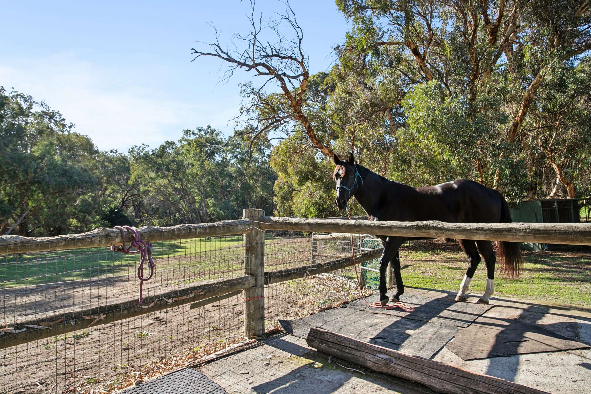 460 Fyfe Street, Helena Valley For Sale by Farmbuy.com - image 32