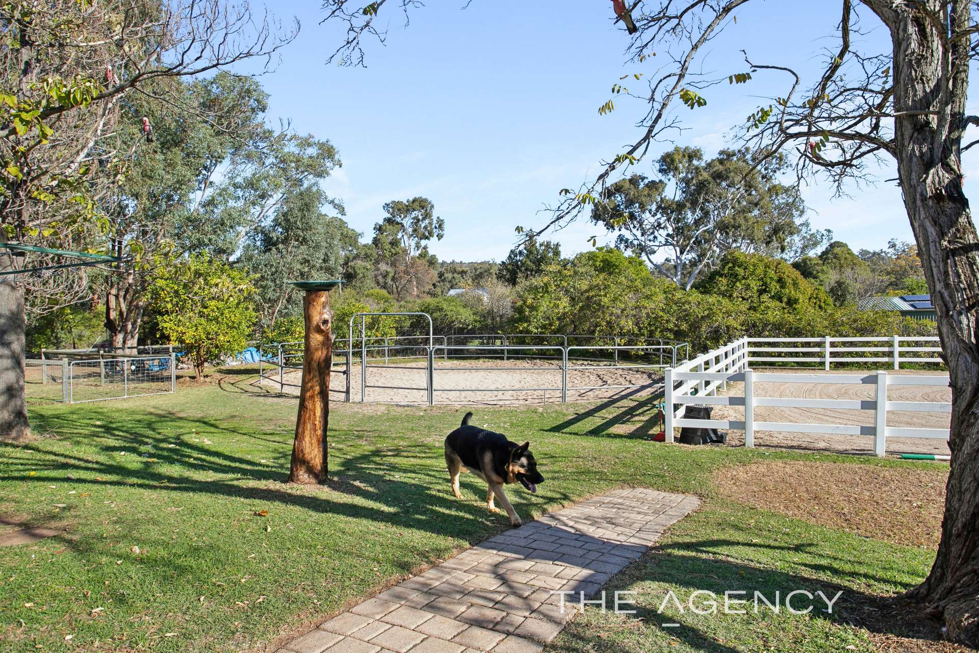 460 Fyfe Street, Helena Valley For Sale by Farmbuy.com - image 30
