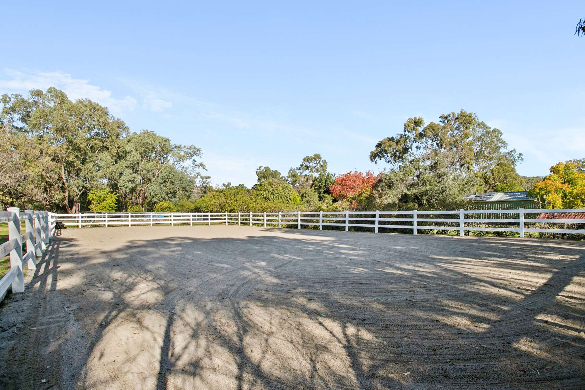 460 Fyfe Street, Helena Valley For Sale by Farmbuy.com - image 22
