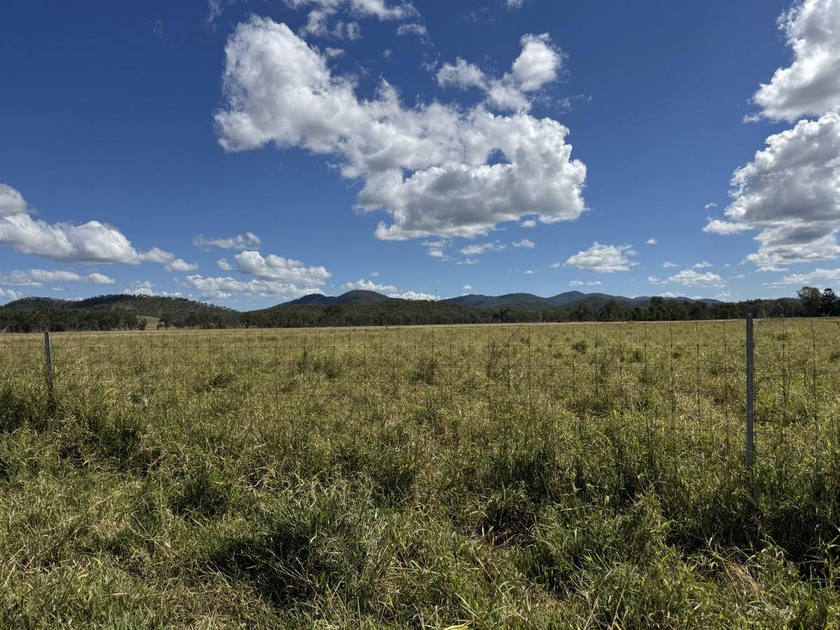 "Hyblah" 4615 Gladstone Monto Road, Boyne Valley For Sale by Farmbuy.com - image 7