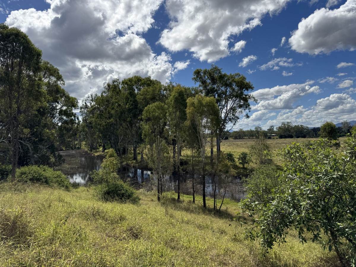 "Hyblah" 4615 Gladstone Monto Road, Boyne Valley For Sale by Farmbuy.com - image 23