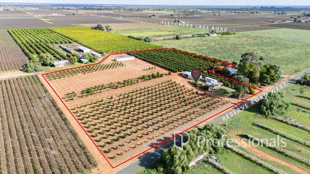 382 Reserve Road West, Coomealla NSW 2717