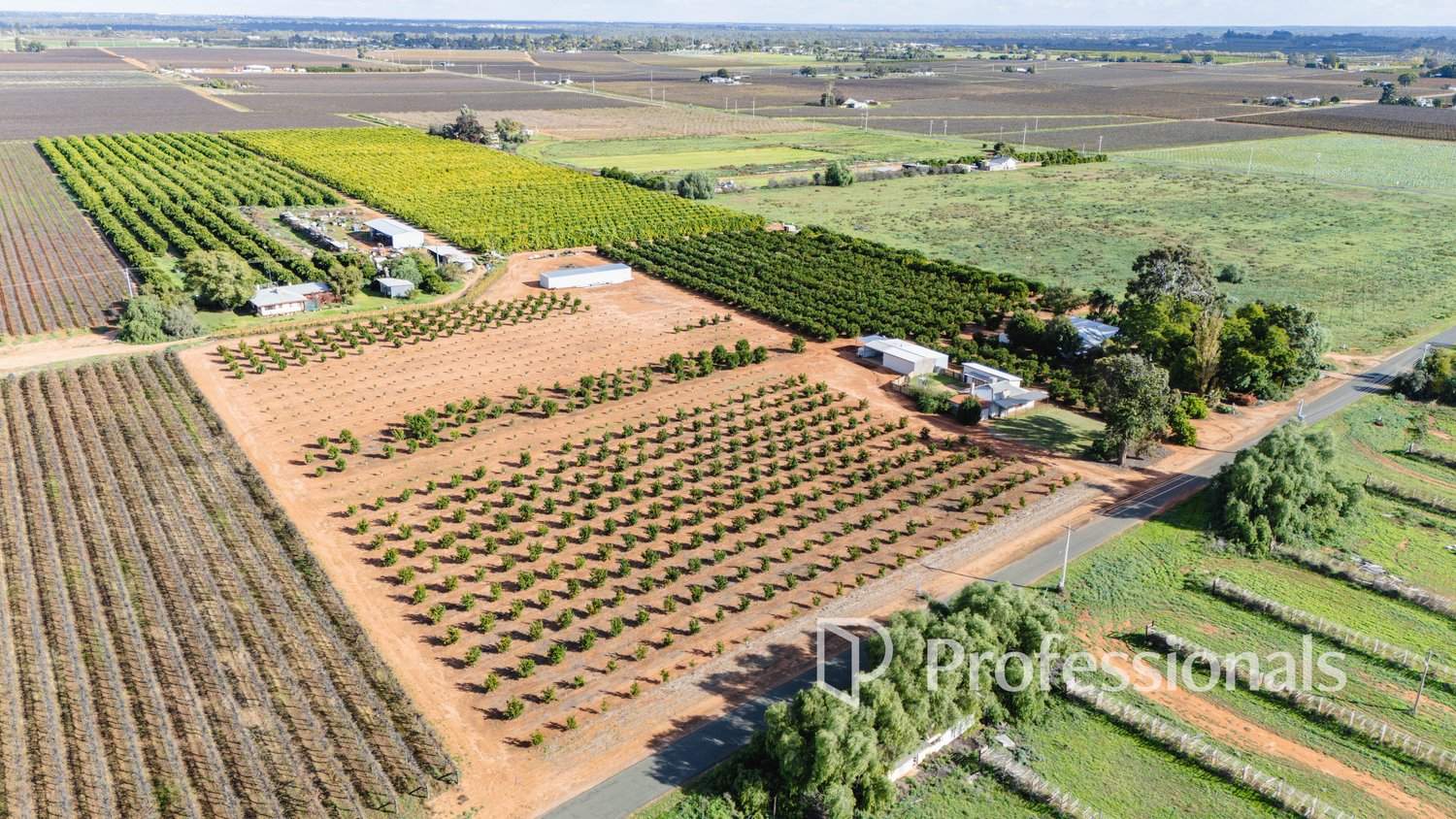 382 Reserve Road West, Coomealla For Sale by Farmbuy.com - image 19