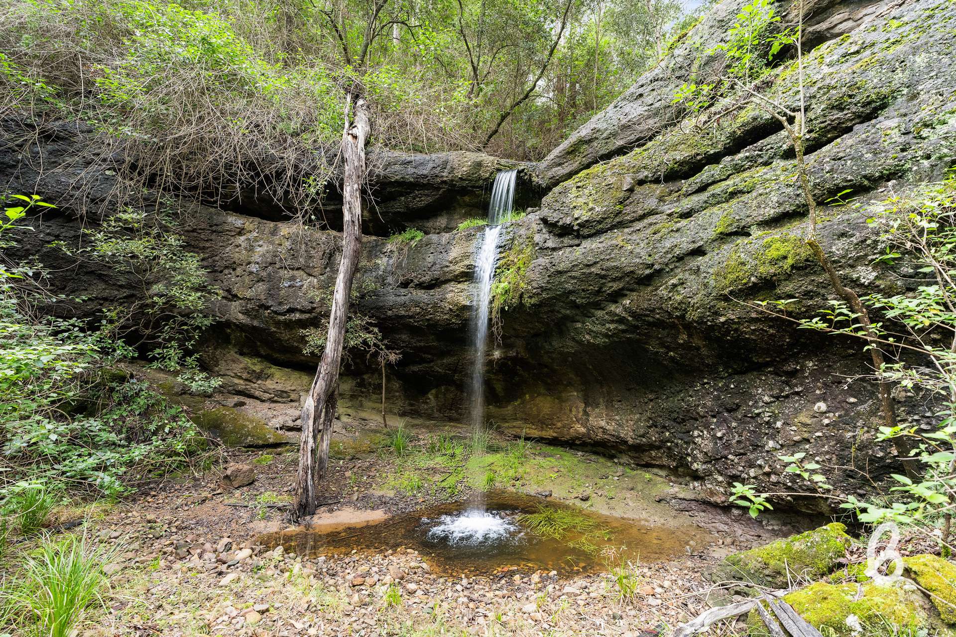 428 Carrowbrook Road, Singleton For Sale by Farmbuy.com - image 20