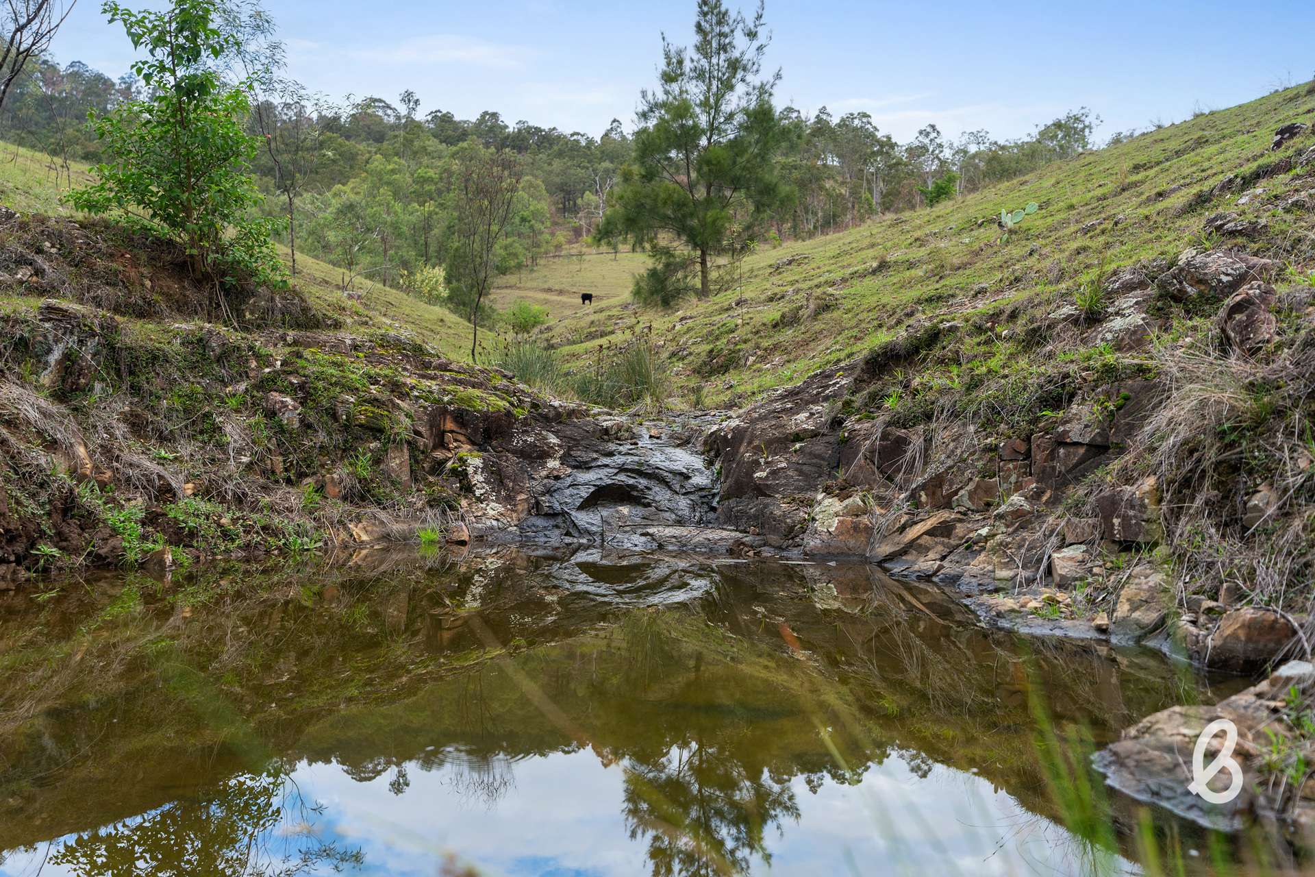 428 Carrowbrook Road, Singleton For Sale by Farmbuy.com - image 18