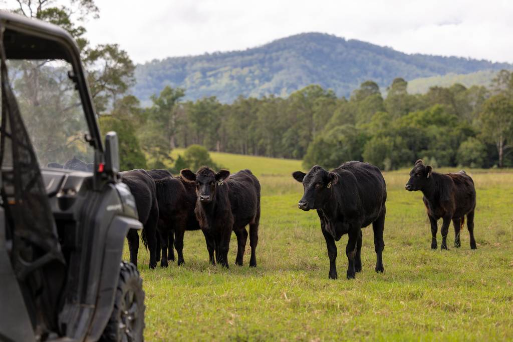 158 Somerset Road, Kimbriki NSW 2429