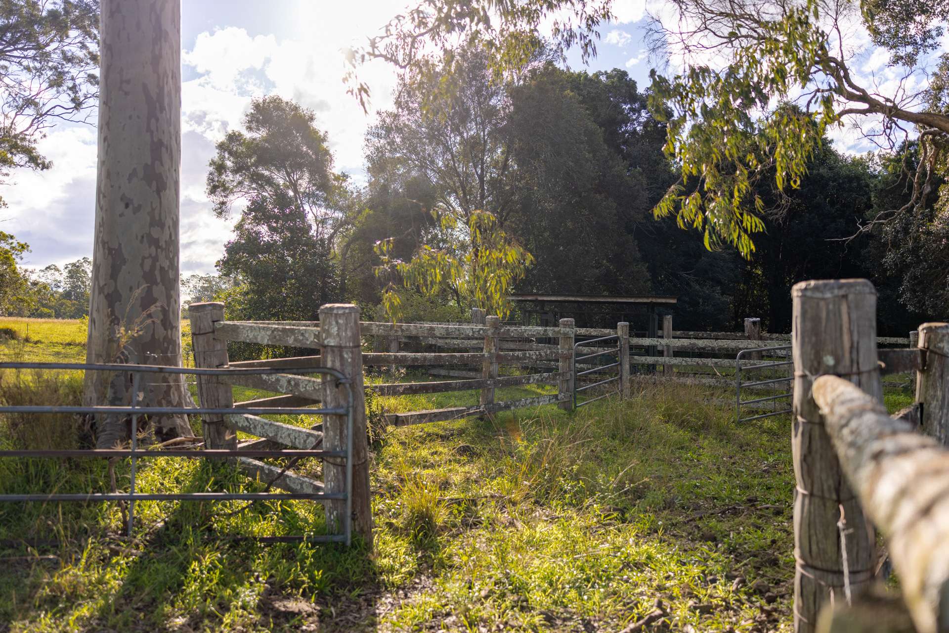 158 Somerset Road, Kimbriki For Sale by Farmbuy.com - image 8