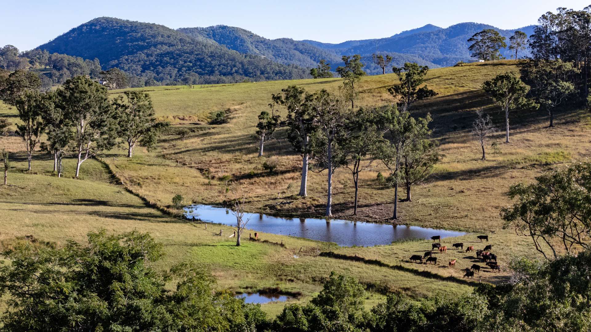 158 Somerset Road, Kimbriki For Sale by Farmbuy.com - image 20