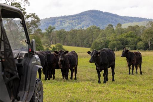 158 Somerset Road, Kimbriki NSW 2429