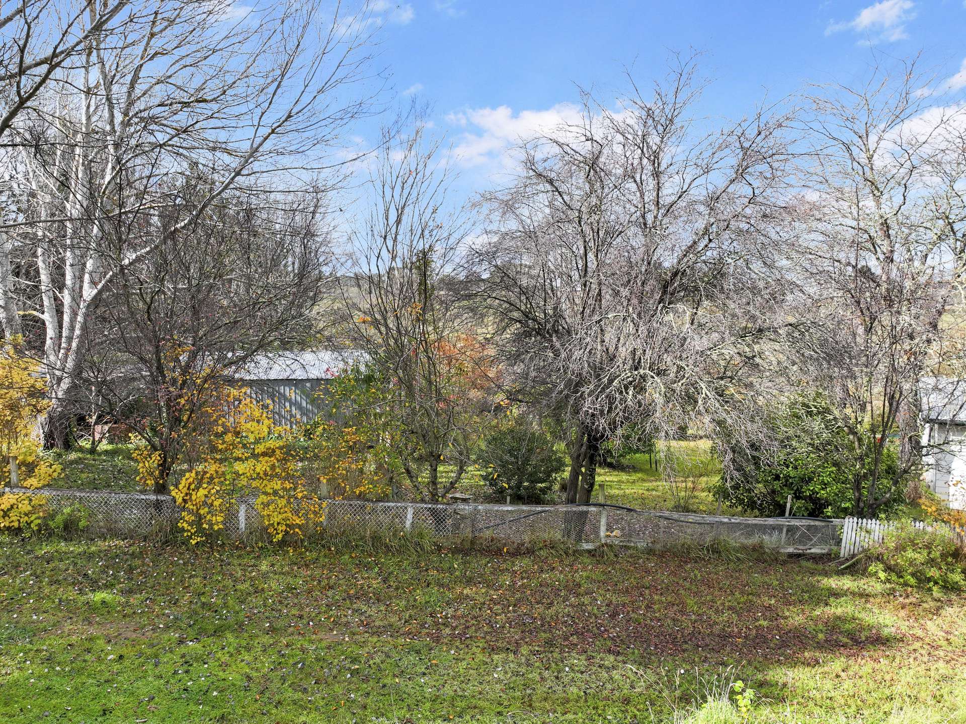 50 Sandy Crossing Road, Bombala For Sale by Farmbuy.com - image 17