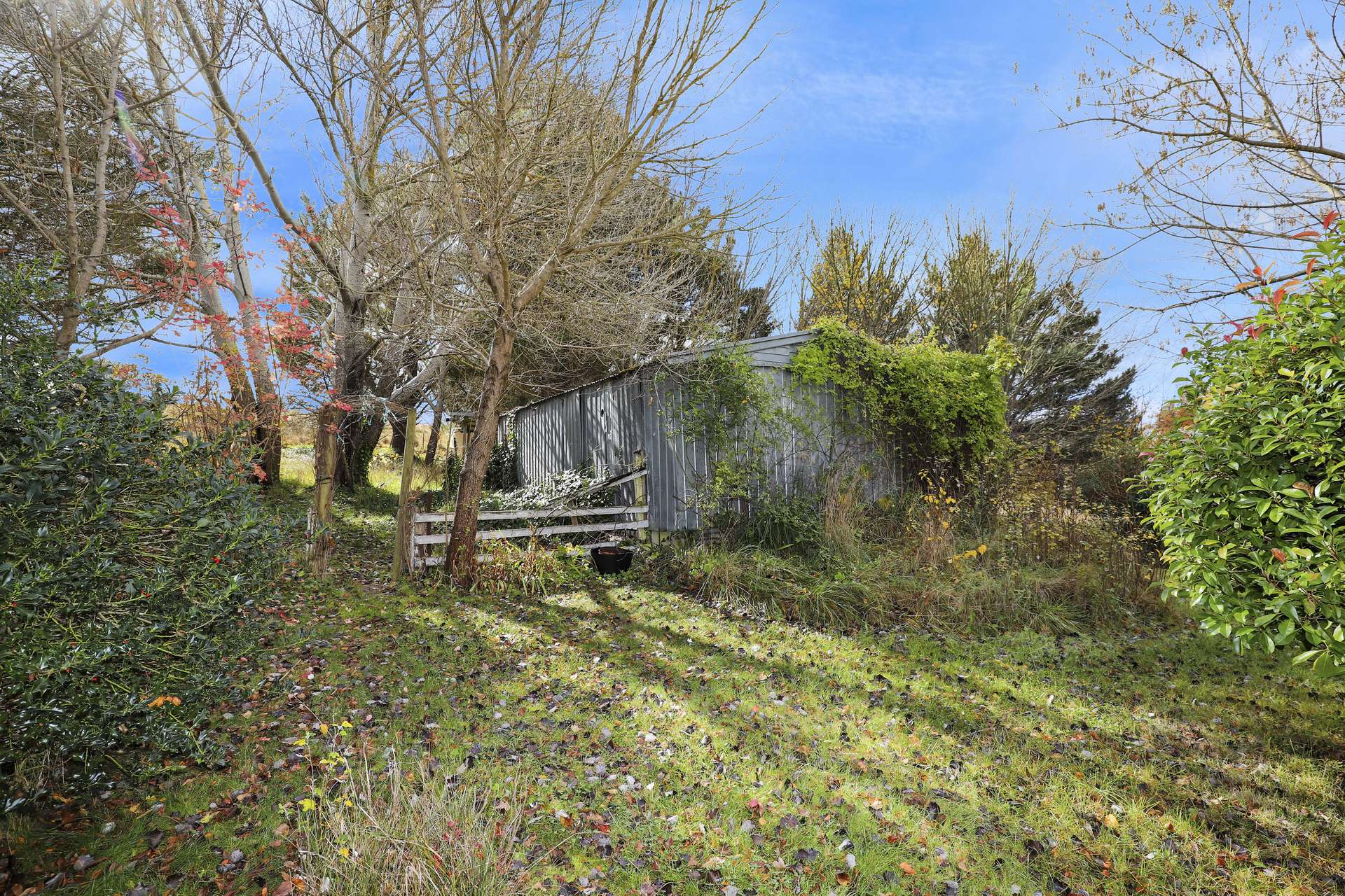 50 Sandy Crossing Road, Bombala For Sale by Farmbuy.com - image 19