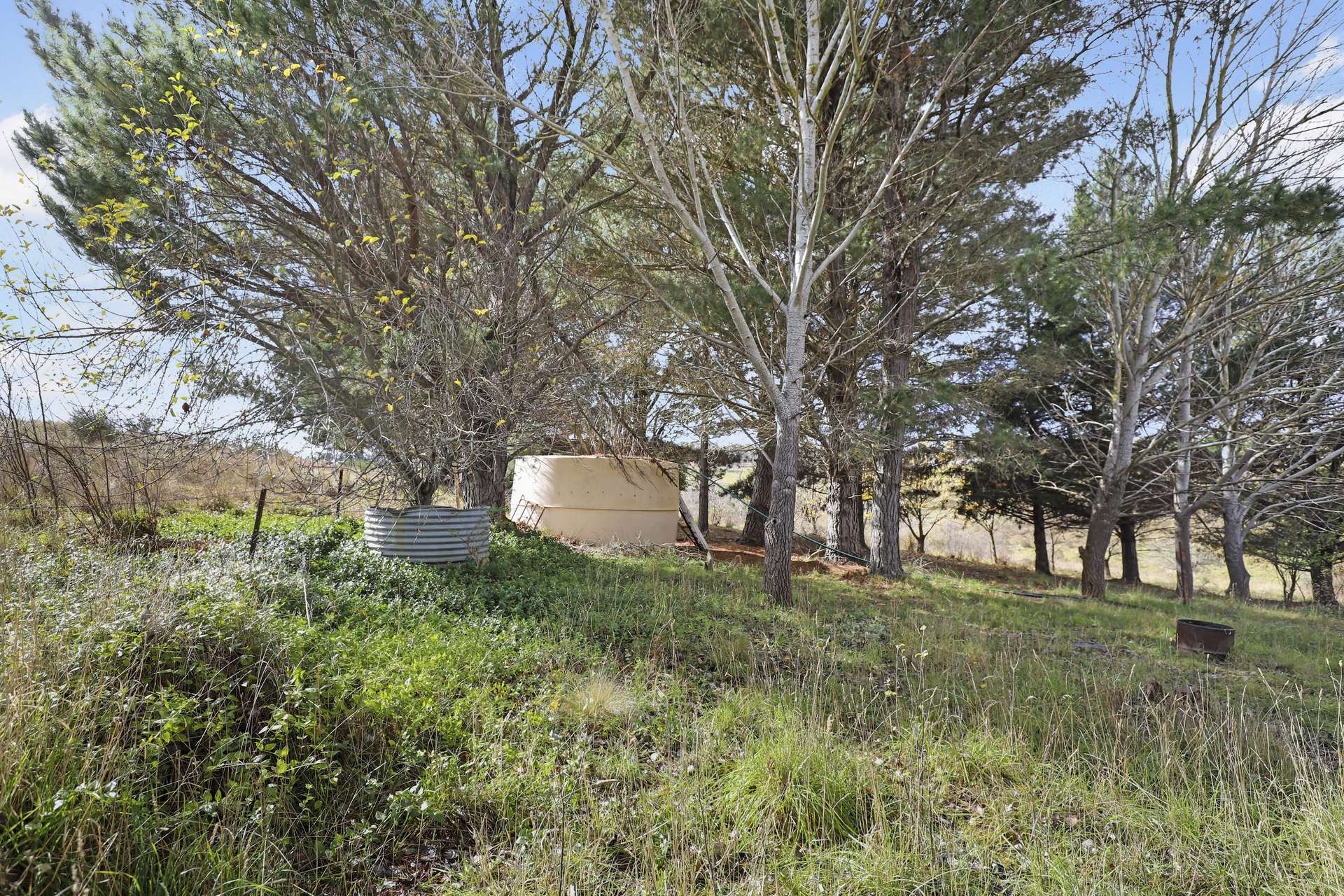 50 Sandy Crossing Road, Bombala For Sale by Farmbuy.com - image 18