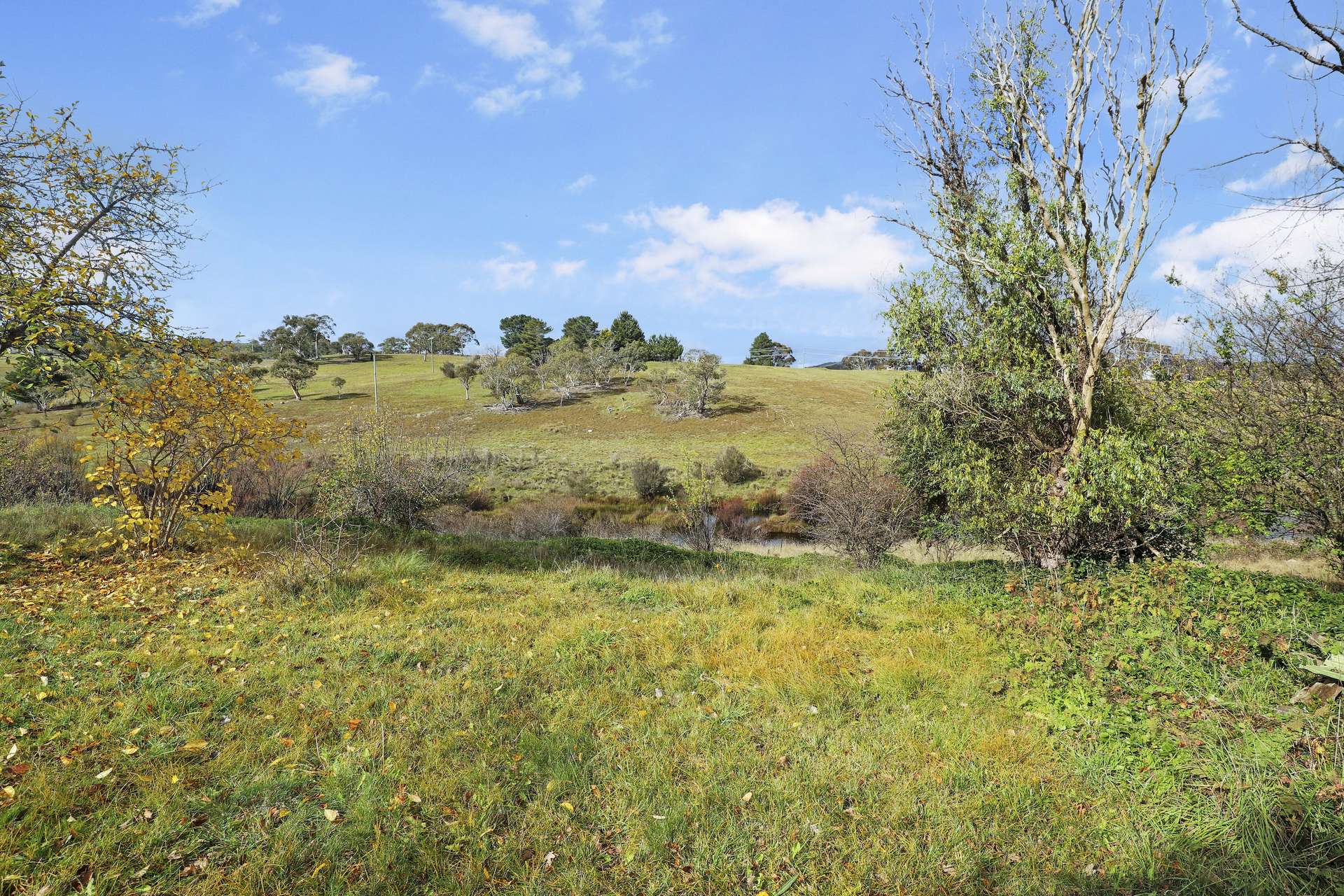 50 Sandy Crossing Road, Bombala For Sale by Farmbuy.com - image 22