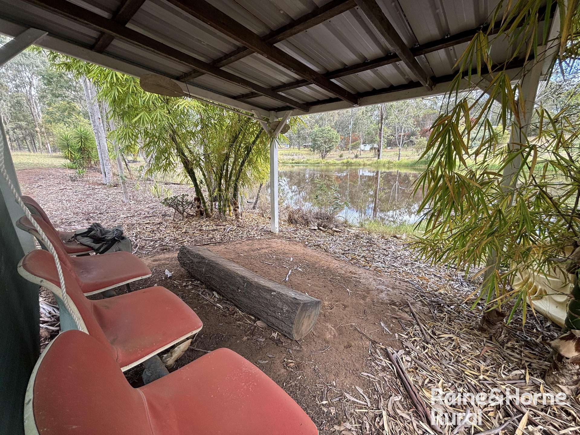 92 Mcnicholl, Wattle Camp For Sale by Farmbuy.com - image 24