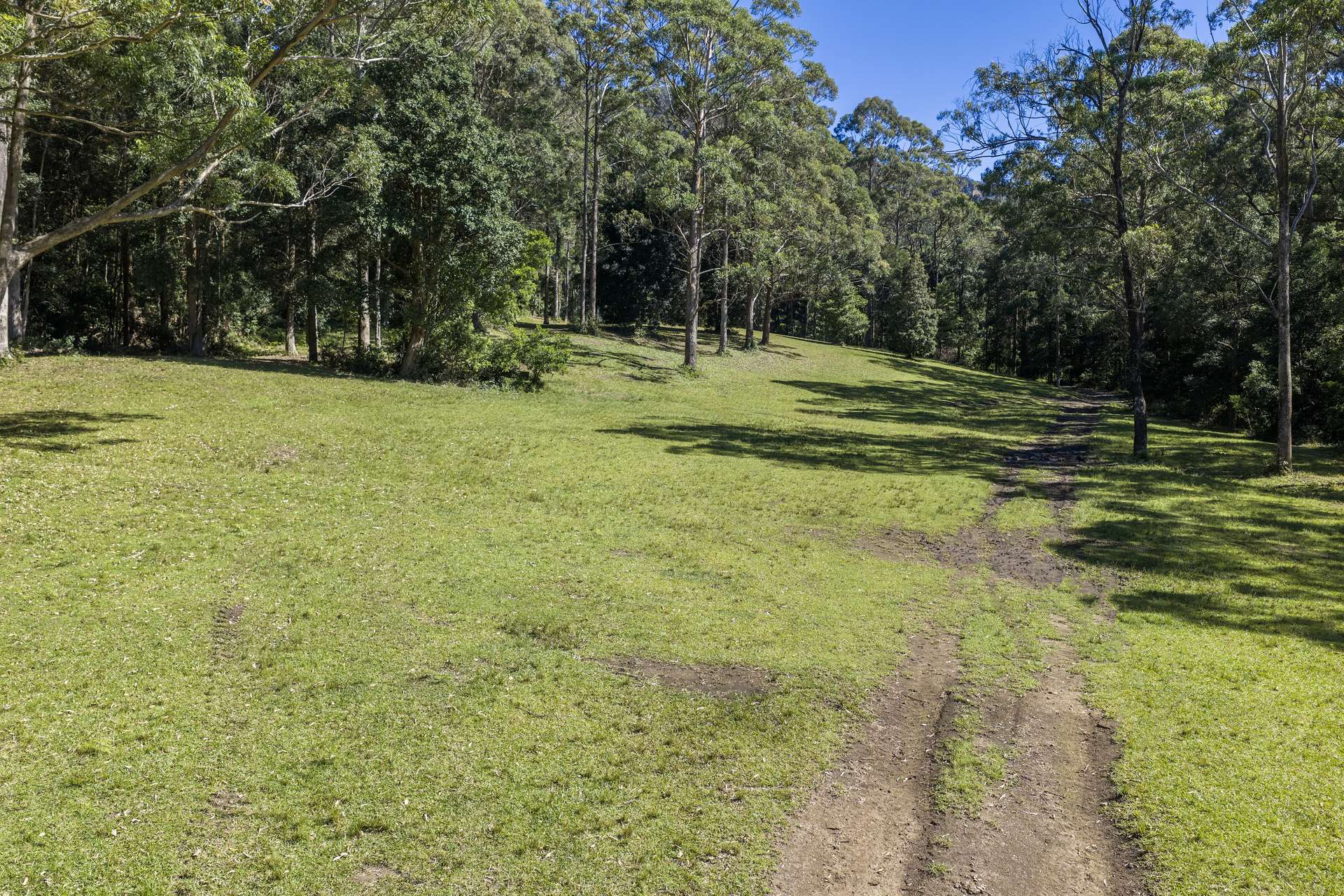 'The Ridge Farm' Lots 22 & 102 Free Selectors Road, Foxground For Sale by Farmbuy.com - image 22