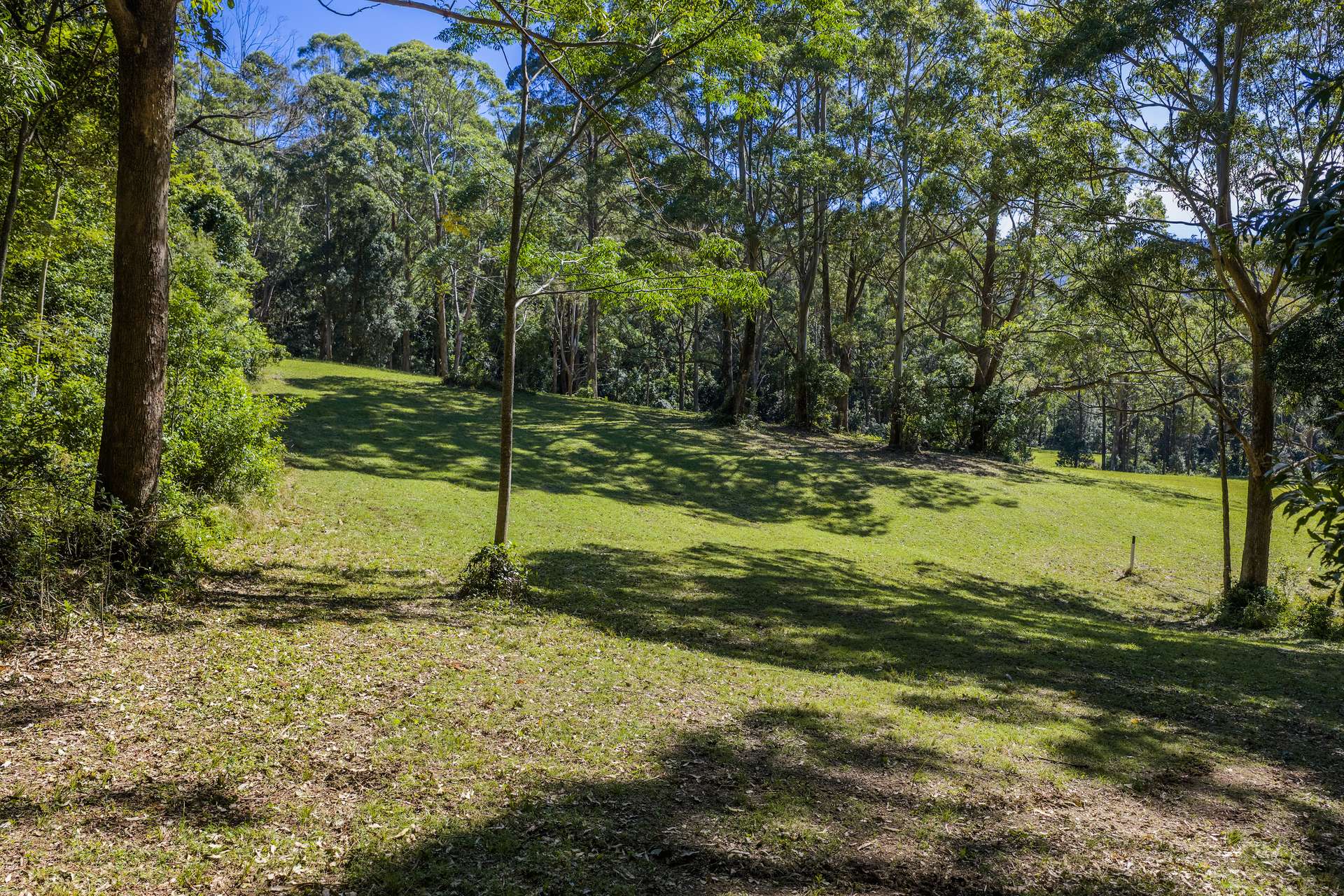 'The Ridge Farm' Lots 22 & 102 Free Selectors Road, Foxground For Sale by Farmbuy.com - image 12