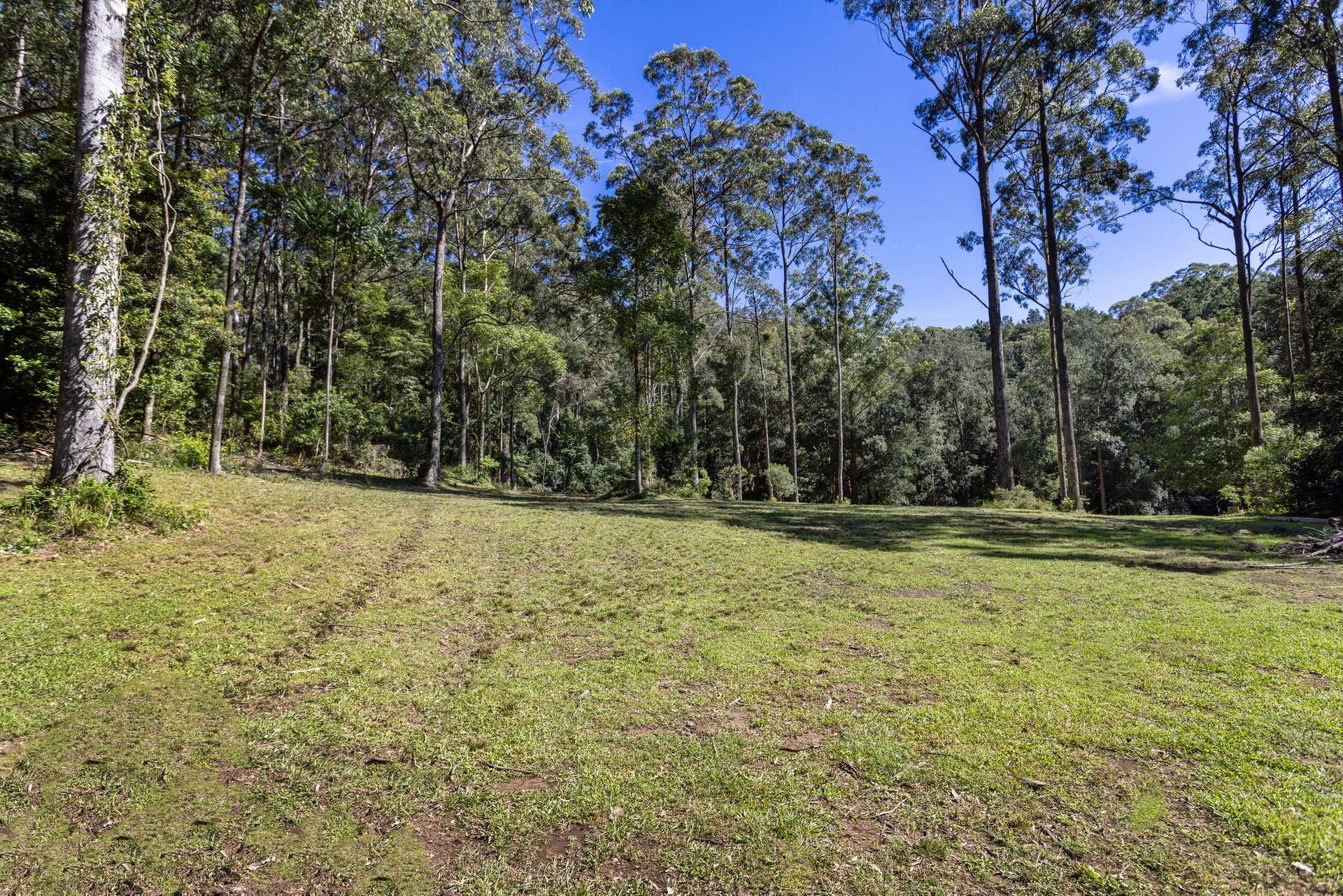 'The Ridge Farm' Lots 22 & 102 Free Selectors Road, Foxground For Sale by Farmbuy.com - image 17
