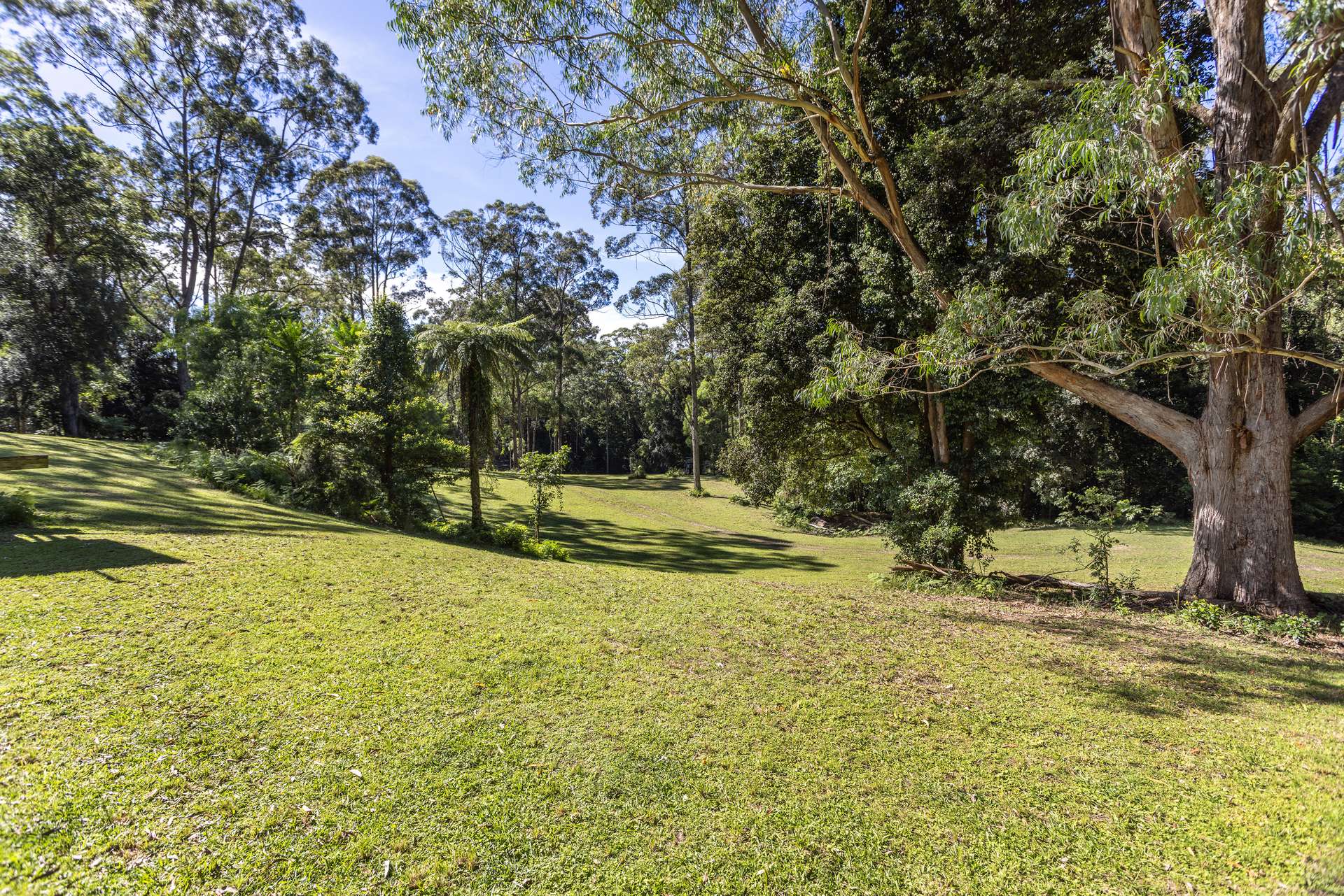 'The Ridge Farm' Lots 22 & 102 Free Selectors Road, Foxground For Sale by Farmbuy.com - image 4