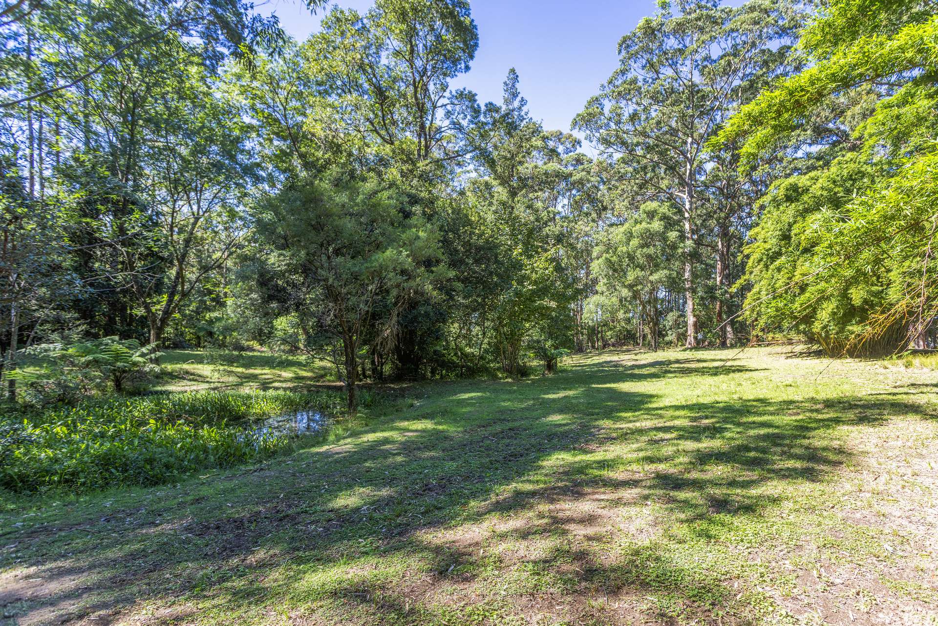 'The Ridge Farm' Lots 22 & 102 Free Selectors Road, Foxground For Sale by Farmbuy.com - image 20
