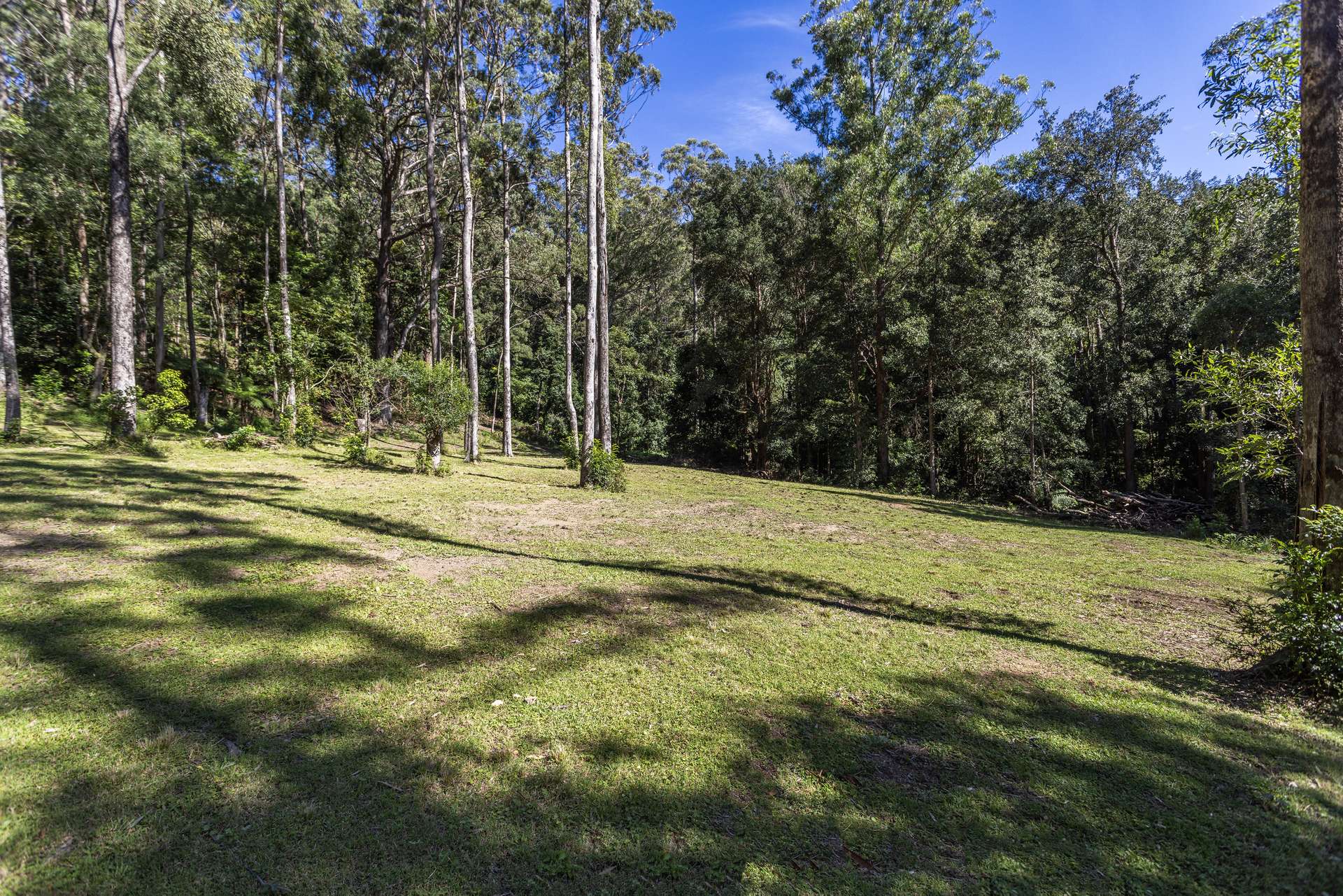'The Ridge Farm' Lots 22 & 102 Free Selectors Road, Foxground For Sale by Farmbuy.com - image 11