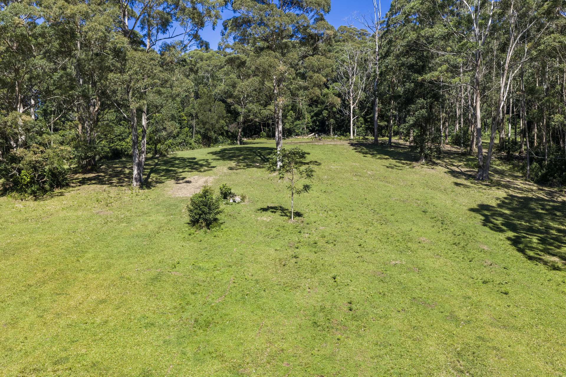 'The Ridge Farm' Lots 22 & 102 Free Selectors Road, Foxground For Sale by Farmbuy.com - image 5