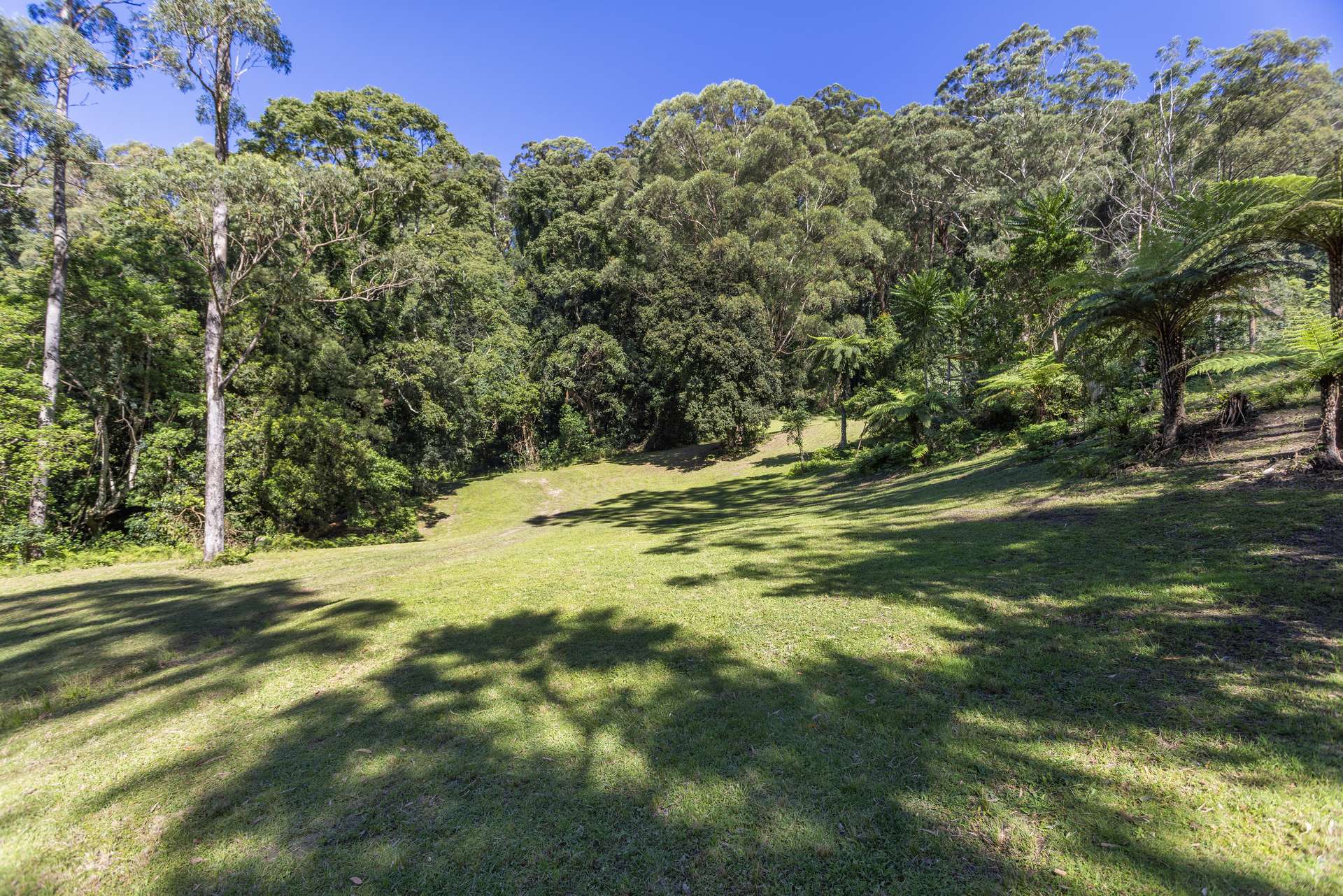 'The Ridge Farm' Lots 22 & 102 Free Selectors Road, Foxground For Sale by Farmbuy.com - image 18